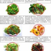 孕期不能吃的蔬菜有哪些（孕期不能吃的蔬菜有哪些）
