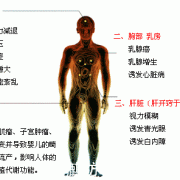 福射对胎儿有多大影响（福射对孕妇的危害）