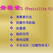 青霉素影响胎儿智力吗（青霉素影响胎儿智力吗）