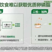 孕期卵磷脂（孕期卵磷脂）