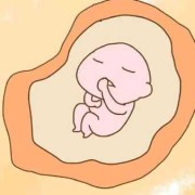 孕期排异反应（孕期排异反应）