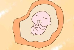 孕期排异反应（孕期排异反应）