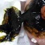 胎儿胎粪（胎儿胎粪怎么排出）