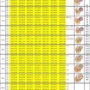 胎儿发育时间表（胎儿发育时间表）