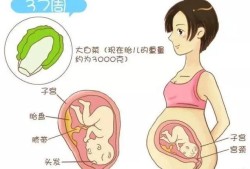 初产孕妇孕晚期一般宝宝什么时候入盆，入盆后隔多久会生产,孕晚期胎儿几周入盆正常