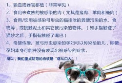 孕期感染弓形虫有什么症状（孕期感染弓形虫有什么症状Igg）