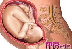 孕妇中的胎儿（孕妇中的胎儿）