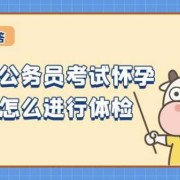 怀孕期间考上公务员（怀孕期间考上公务员体检怎么办）