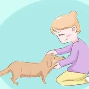 孕期养狗有危害吗（孕期养狗有危害吗有影响吗）