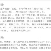 后期怎么控制胎儿体重（后期怎么控制胎儿体重增长）