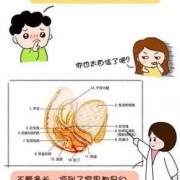 孕期阴道肿痛（阴部肿痛是怎么回事）