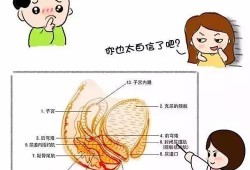 孕期阴道肿痛（阴部肿痛是怎么回事）