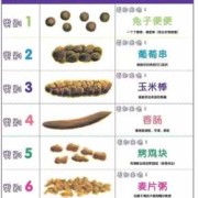孕期大便干燥怎么办（孕期大便干燥怎么办拉不出来怎么办）
