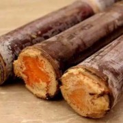 怀孕能不能吃甘蔗,孕期喜欢吃甘蔗好不好