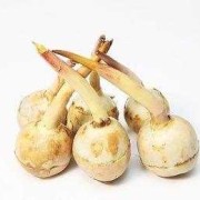 孕期可以吃茨菇吗（孕期可以吃茨菇吗?）
