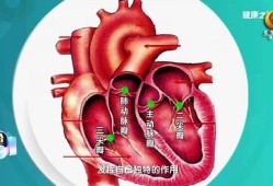 胎儿三尖瓣中度反流（三尖瓣中度返流怎么治）