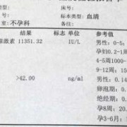 月经不正常，怀孕了，怎么算怀孕多少天啊,如何算孕期多少天
