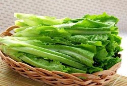 孕期可以吃油麦菜吗（产后能吃油麦菜吗）