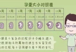 怀孕10周卵黄囊10MM属于正常吗,怀孕10周胎儿稳定了吗?