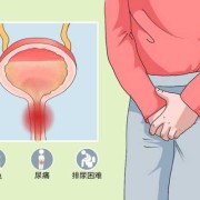 宝宝尿道感染的症状是什么,胎儿尿道的作用是什么