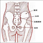 胎儿仰卧位是什么情况（胎儿仰卧位是什么情况导致的）