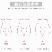胎儿胎心快是什么原因造成的啊？孕八个月多了，要做什么检查好,胎儿胎心快是怎么回事