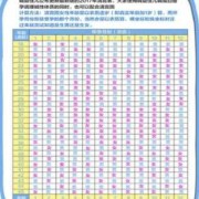 男女孕期表（手表怎么分男女）