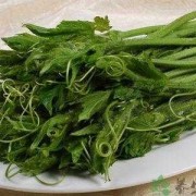 孕期可以吃南瓜藤吗（孕期可以吃南瓜藤吗有营养吗）