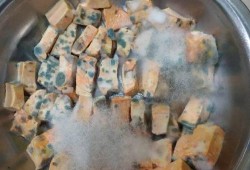 豆腐乳也称霉豆腐，霉是哪种霉菌?为什么可以吃呢,孕期可以吃霉豆腐吗?