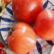 孕妇吃生西红柿对胎儿好吗（番茄生吃好还是熟吃好？孕期可以生吃番茄吗）