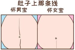 孕期下怀男孩还是女孩（孕期下怀男孩还是女孩）