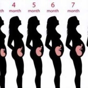 怀孕8周孩子有多大,2个月胎儿大小图