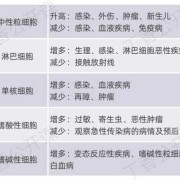 孕期白细胞高的危害（孕期白细胞高的危害有哪些）