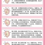 怎样知道胎儿是否聪明（怎样知道胎儿是否聪明呢）