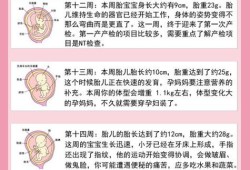 怎样知道胎儿是否聪明（怎样知道胎儿是否聪明呢）
