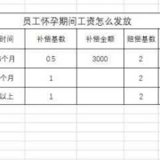 孕期工资（孕期工资）