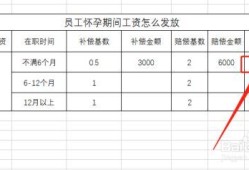 孕期工资（孕期工资）