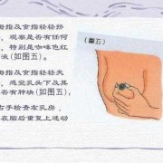孕期乳房检查（孕期乳房检查）