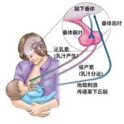 孕晚期，乳头能挤出水来吗,孕期乳头挤出水怎么办
