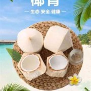 孕期可以喝椰青吗（孕妇可以喝椰青水吗）