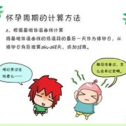 试管怀孕周期怎么算,试管孕期怎么算