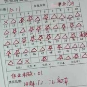胎儿算数（儿童多大会算数）