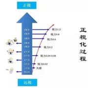 胎儿视觉发育（胎儿视觉发育时间）