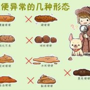 孕期大便不成形比较稀（怀孕期间大便不通畅）