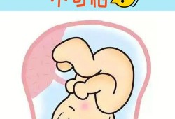 孕晚期胎儿侧脑室增宽（孕晚期胎儿侧脑室增宽怎么办）