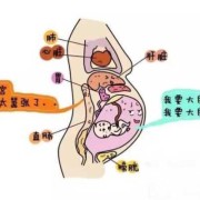 孕期子宫压痛（孕期子宫压痛怎么办）