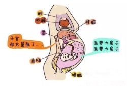 孕期子宫压痛（孕期子宫压痛怎么办）