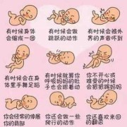 胎儿胎动（宝宝什么时候有胎动）