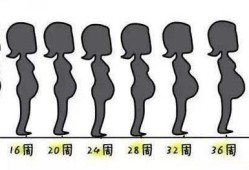 怀孕初期肚子显得好大怎么回事啊？是不是胎儿发育的大啊,胎儿过大是什么原因导致的