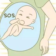19周胎儿胎动频繁（19周胎儿胎动频繁是什么原因）